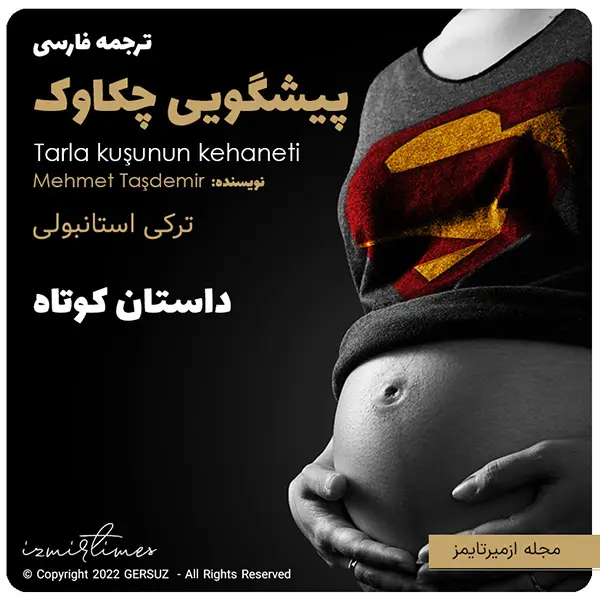 داستان کوتاه پیشگویی چکاوک ترجمه از ترکی استانبولی